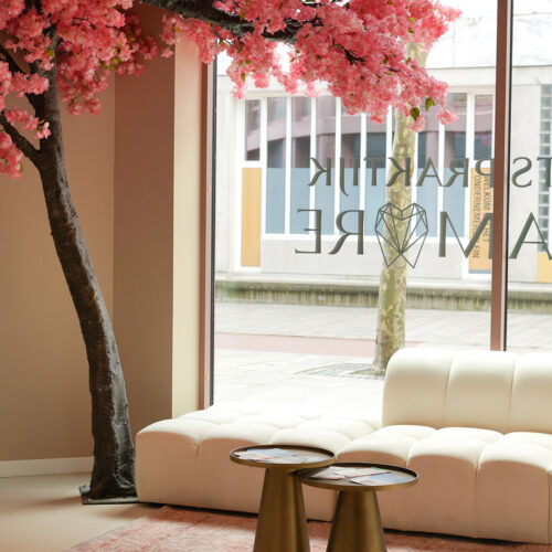 Referentie dent a more Referentie dent a more